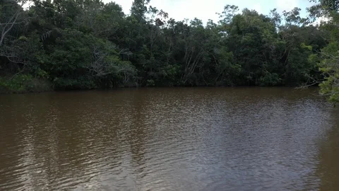 Drone very close to a river 10 Video stock 127551042