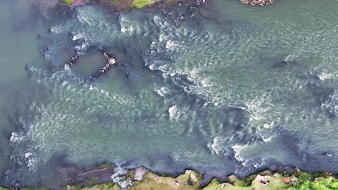 Drone video above shallow river rapids and rocks Stock Footage 336315111