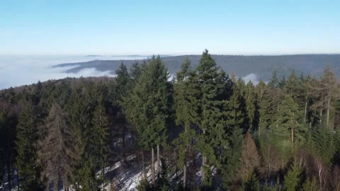Drone video above the winter forrest Stock Footage 171762993