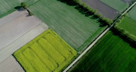 Drone video of agricultural fields Stock Footage 252188110