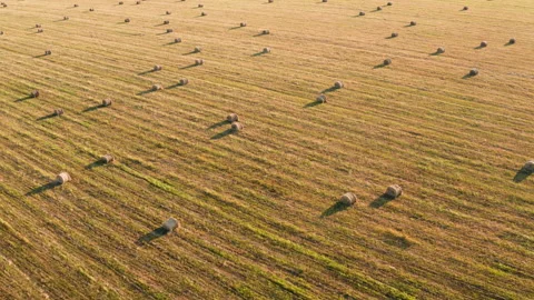 Drone Video - Backward Flying Over Haystacks In The Field Stock Footage 172531399