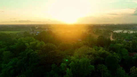 Drone video of bright sunset above forest Stock Footage 336315219