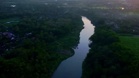Drone video of calm river through dark forest Stock Footage 336315447