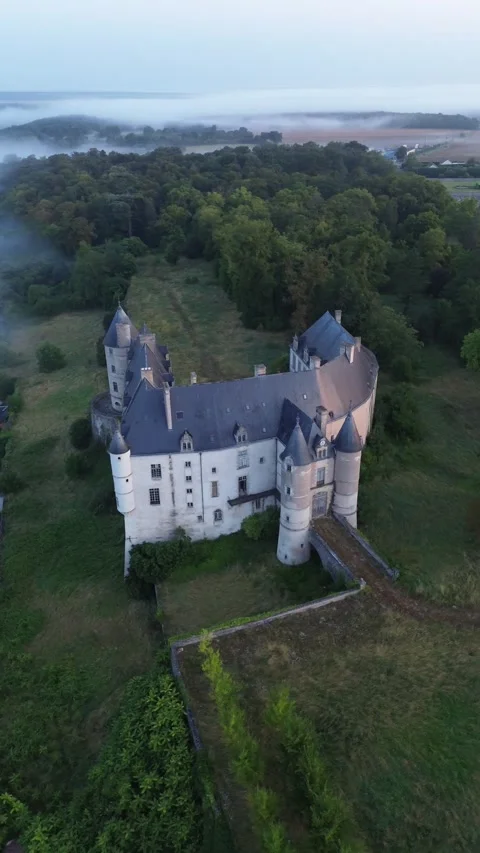 Drone video Chateauneuf-sur-Cher castle France europe Stock Footage 302672714