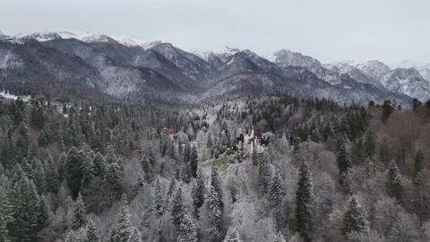 Drone video clip of the Carpathians Stock Footage 307539474