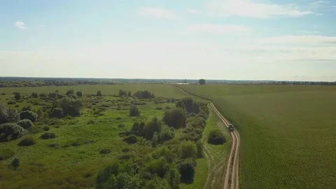 Drone video of corn in the field. Stock Footage 139135207