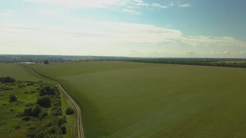 Drone video of corn in the field. Stock Footage 139135223