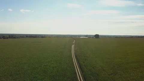 Drone video of corn in the field. Stock Footage 139135279