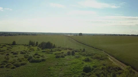 Drone video of corn in the field. Stock Footage 139135283
