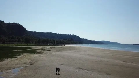 Drone Video of a couple walking the beach Stockbeeldmateriaal 162574702
