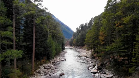 Drone video dolly through the a Forest and River Stock Footage 110174467