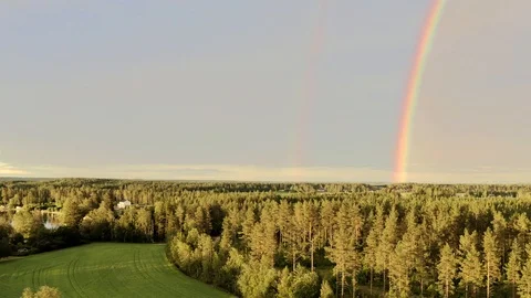 Drone video: double rainbow over summer pine tree forest, very clear skies Stock Footage 116480447