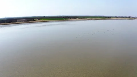 Drone video of dried up lake as group of birds fly above it in nature reserve 스톡 동영상 270501880