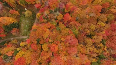 Drone video during fall in Mauricie, Quebec, Canada 스톡 동영상 86810015