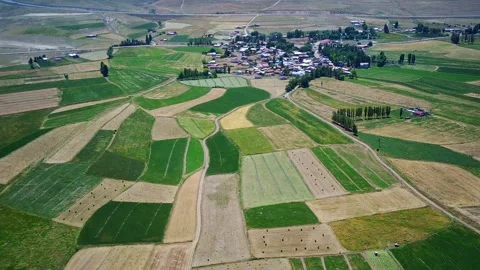 Drone video of Erzurum plain ,vast meadows, fields, mountains. for agriculture Stock Footage 235595234