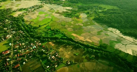 Drone video of farming in elevated tropical terrain Stock Footage 311014502