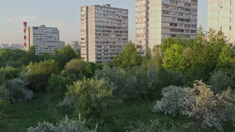 Drone video - Flight on a drone from the forest up over high-rise buildings Stock Footage 173409478