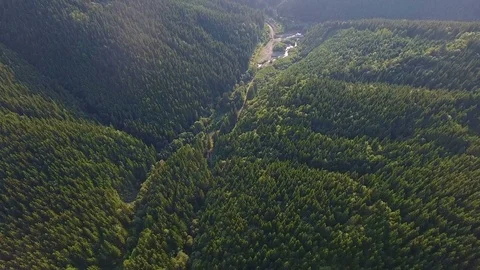 Drone video. flight over forest in mountains Stock Footage 80002927