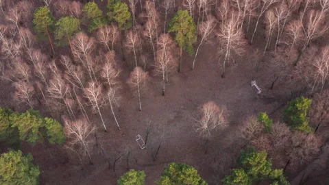 Drone Video - Flight over the spring forest with a football field Stock Footage 173608890