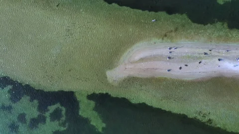 Drone Video 스톡 동영상 218413086