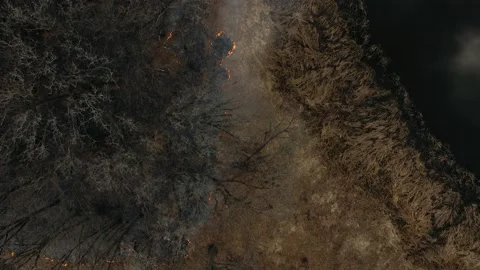 Drone video of a forest in flames and smoke Stock Footage 233704051