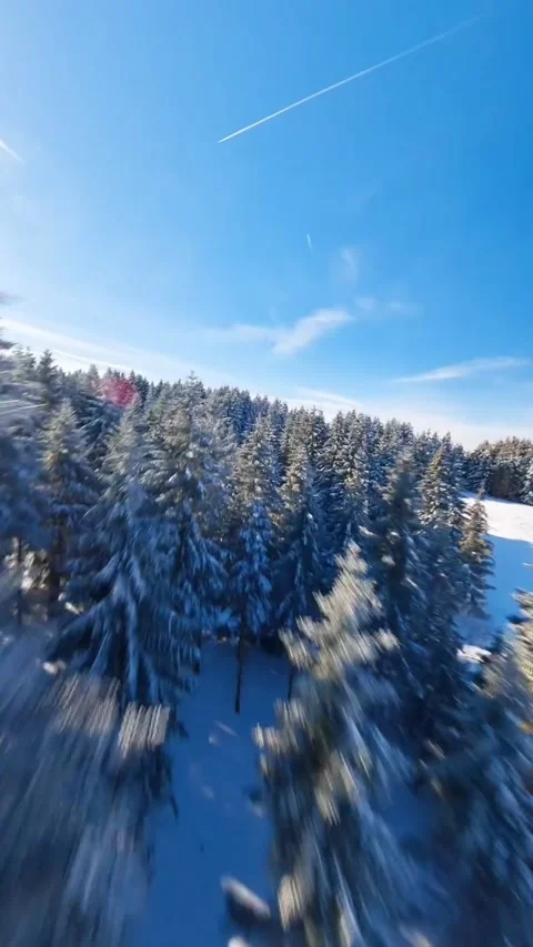 Drone video of forest Stock Footage 270443724