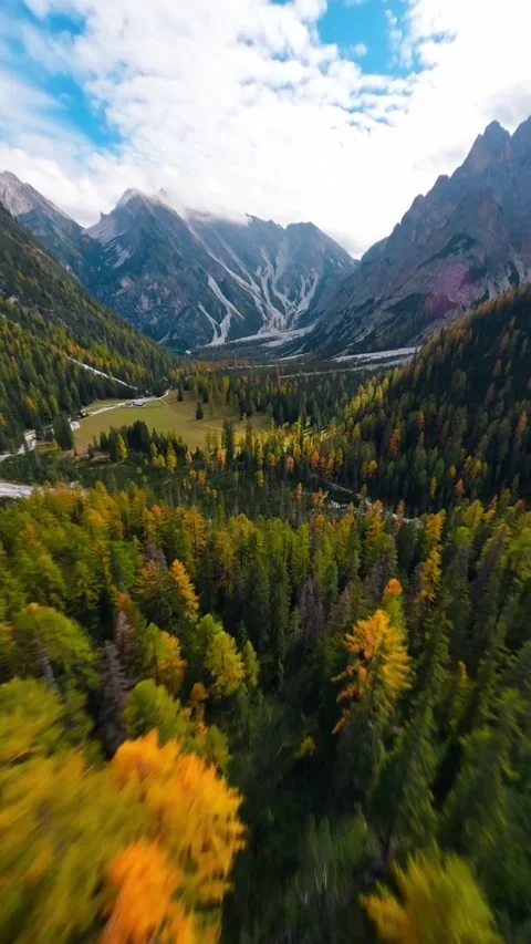 Drone video of forest Stock Footage 270482572