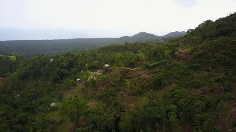 Drone Video of Forest in Haiti Stock Footage 75460803