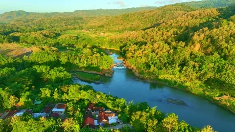Drone video of forest lake and riverside village Stock Footage 336314776