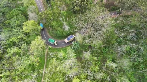 Drone video with forest view Video stock 284538318