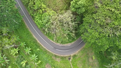 Drone video with forest view Stock Footage 284538415