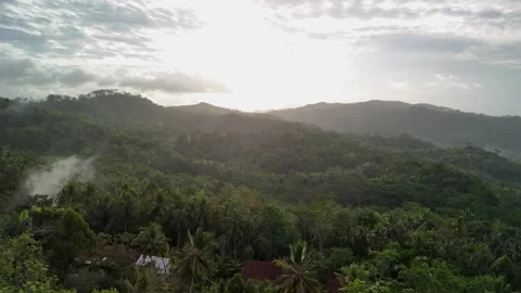 Drone video with forest view Stock Footage 284538666