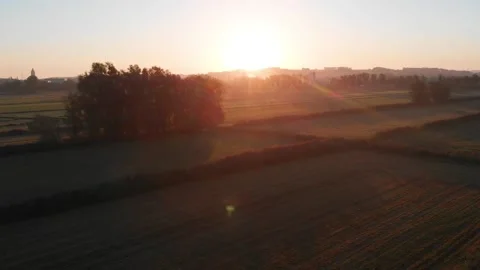 Drone video of a grass field during sunrise Stock Footage 208372701