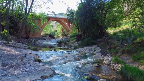 Drone video in a green forest with a river and a bridge with an arc. Stock Footage 193600942