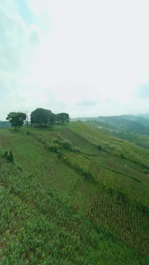 Drone video of hill 2 Stock Footage 291598947