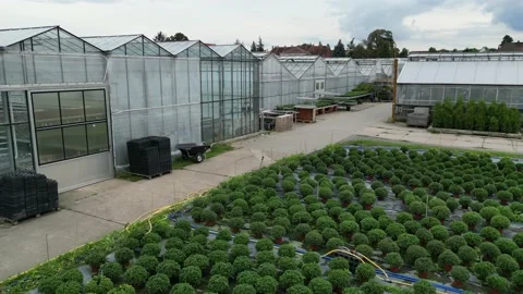 Drone video of a horticultural center with various growing areas for fruits Stock Footage 212905968