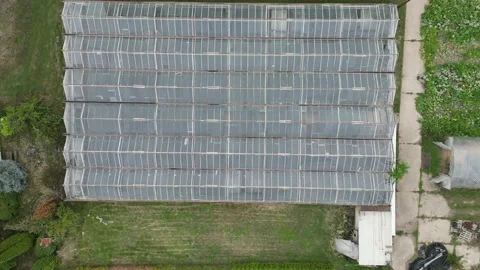 Drone video of a horticultural center with various growing areas for fruits Stock Footage 212909130