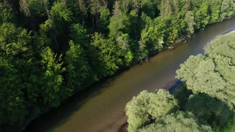 Drone video of Isar river seen from above with trees around Video stock 131807454