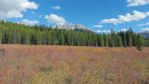 A Drone Video in Kananaskis Stock Footage 285969215