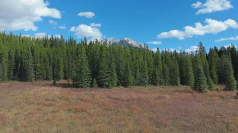 A Drone Video in Kananaskis Stock Footage 285974844