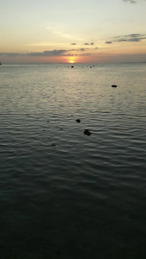 Drone video of Koh Phi Phi Don in Thailand Stock Footage 282570538