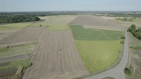 Drone video. large fields with agricultural crops Stock Footage 219688159