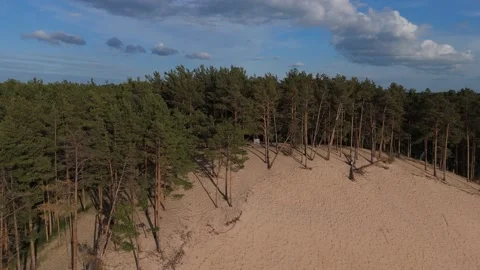 Drone Video Of Lielupe White Dune In Latvia During Summer Evening With Sunny Vidéo 336760865