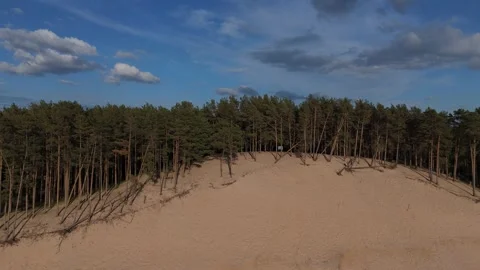 Drone Video Of Lielupe White Dune In Latvia During Summer Evening With Sunny Vidéo 336761295