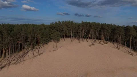 Drone Video Of Lielupe White Dune In Latvia During Summer Evening With Sunny Stock-Footage 336808557