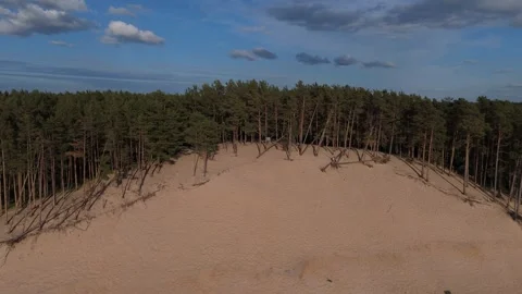Drone Video Of Lielupe White Dune In Latvia During Summer Evening With Sunny Vidéo 336808629