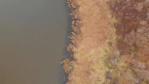 Drone video looking straight down onto an autumn scene with a swampy marsh Stock Footage 118267451