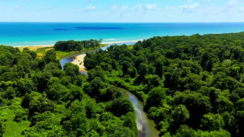 Drone video of a magnificent view of the river flowing towards the sea Stock Footage 317015188