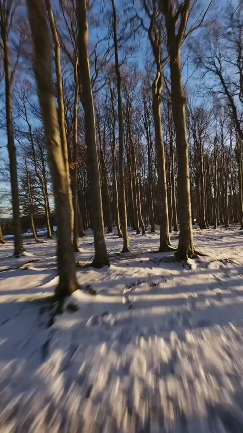 Drone video of nature Stock Footage 270443609