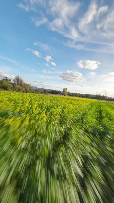 Drone video of nature Stock Footage 270443882